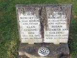 image of grave number 630440